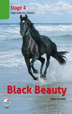 Block Beauty (QR Auio Ses) Stage 4