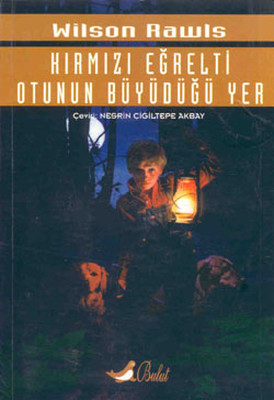 Kırmızı Eğrelti Otunun Büyüdüğü Yer