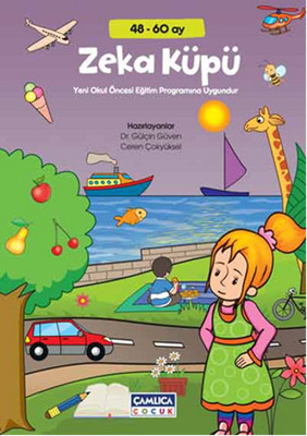 Zeka Küpü