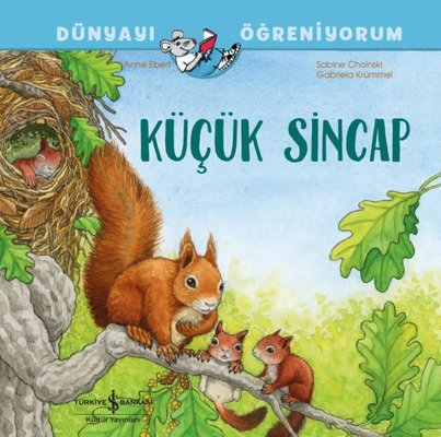Küçük Sincap - Dünyayı Öğreniyorum