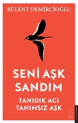 Seni Aşk Sandım - Tanıdık Acı Tanımsız Aşk