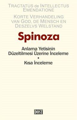 Anlama Yetisinin Düzeltilmesi Üzerine İnceleme - Kısa İnceleme